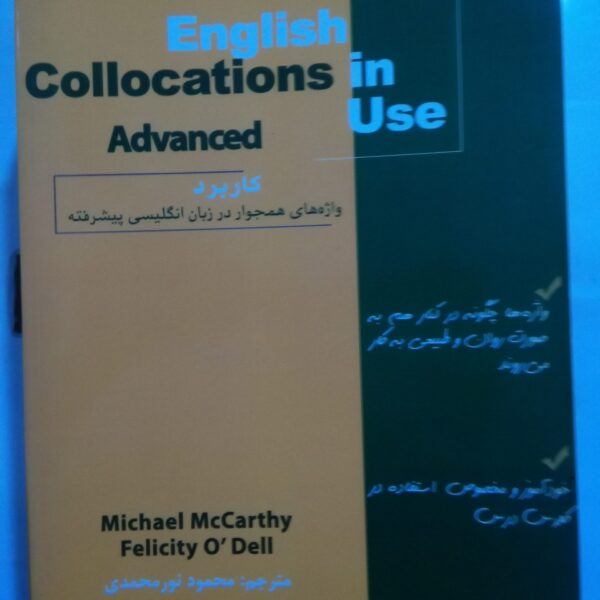 English collocation in use advanced